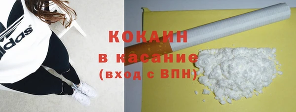 стафф Алексин