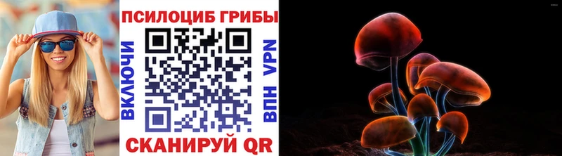 Галлюциногенные грибы Psilocybine cubensis Юрьевец